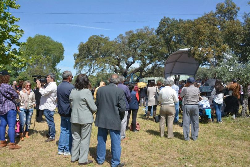 Celebração da Missa da Romaria,,,