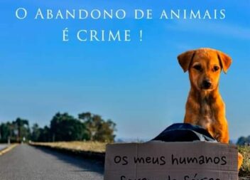 Diga NÃO ao abandono de animais de companhia. Seja responsável. Eles não trazem