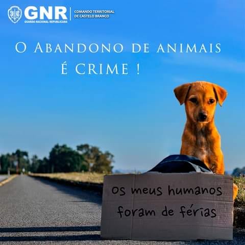 Diga NÃO ao abandono de animais de companhia. Seja responsável. Eles não trazem