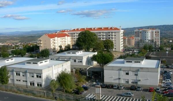 Escola Quinta das Palmeiras recebe Prémio Escola