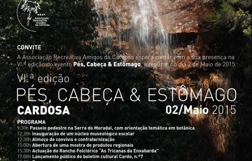 Festival Pés