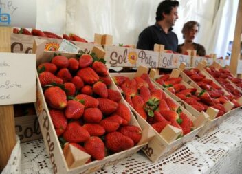 Frutos vermelhos de arregalar os olhos