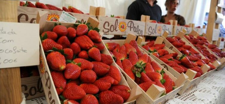 Frutos vermelhos de arregalar os olhos