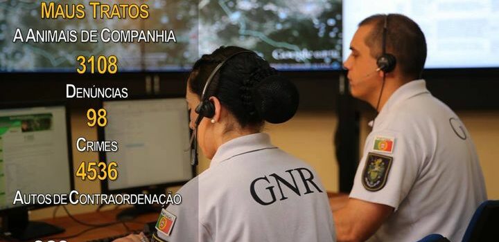 GNR apresenta balanço de um ano