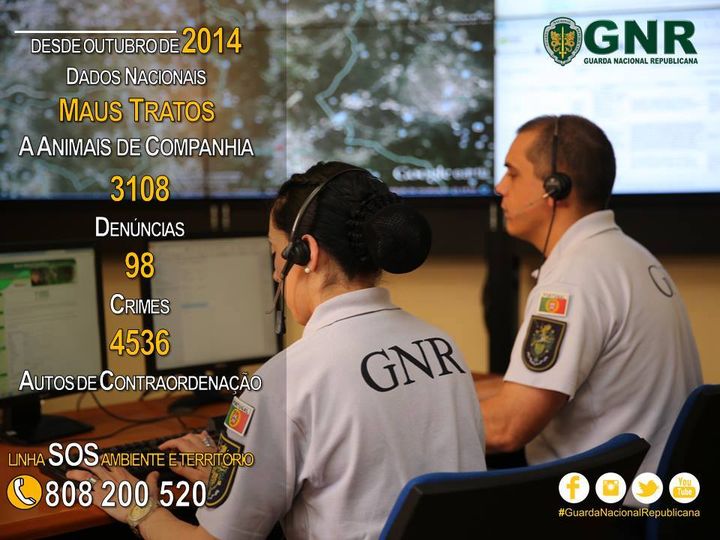 GNR apresenta balanço de um ano