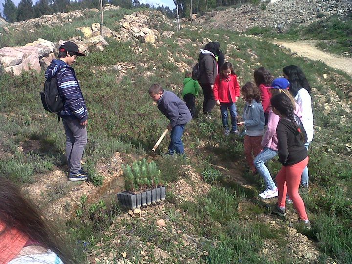 Jovens Vilarregenses celebram Dia Mundial da Árvore