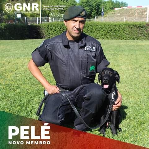 O Pelé da GNR de Castelo Branco