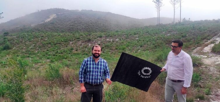 Os Verdes colocam Bandeiras Negras