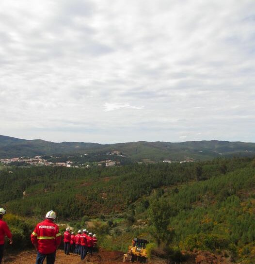 Para combate a incêndios florestais