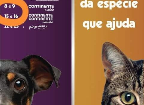 SEJA VOLUNTÁRIO POR UM DIA