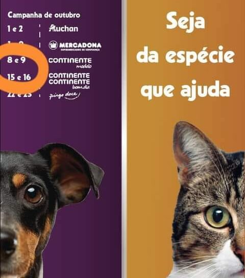 SEJA VOLUNTÁRIO POR UM DIA