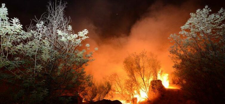 Suspeito de incêndio em Silvares