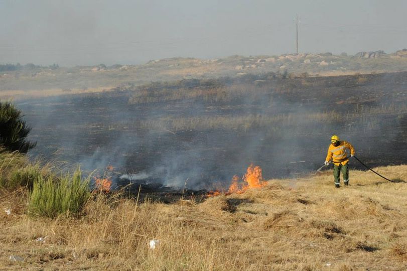 Três incêndios no distrito... todos dominados