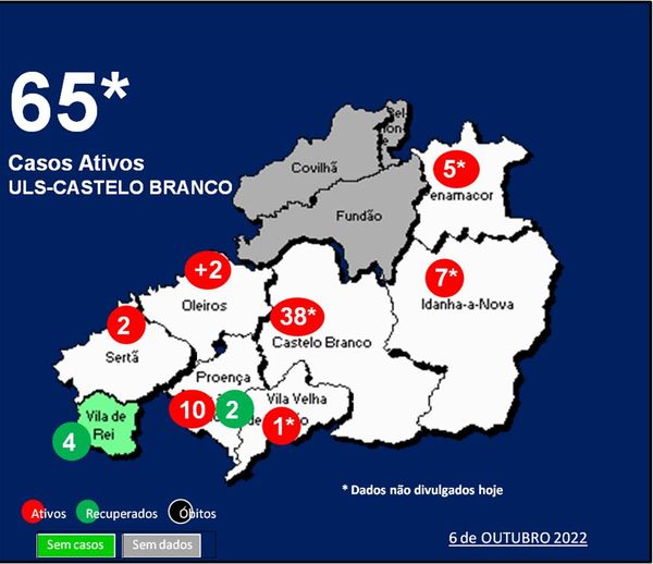 ULS-Castelo Branco com 65* casos ativos