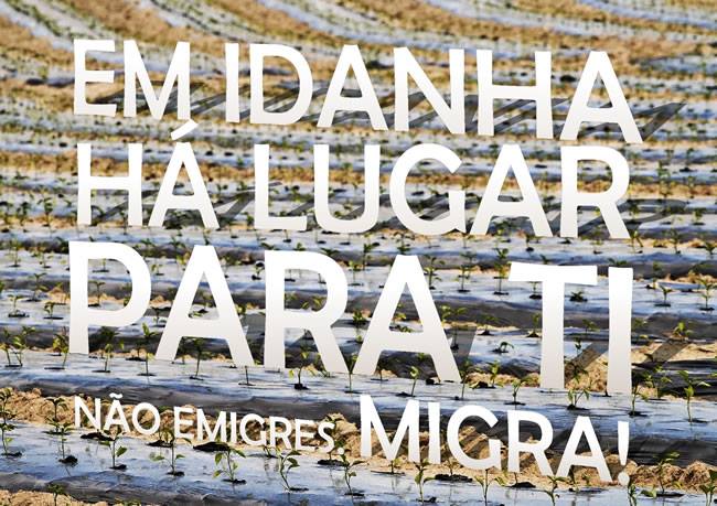 Um mês depois do lançamento do projeto