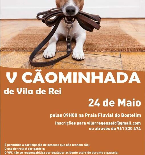 V Cãominhada de Vila de Rei