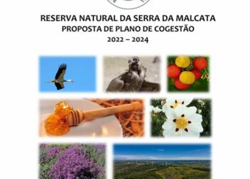 Penamacor