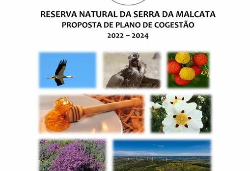 Penamacor