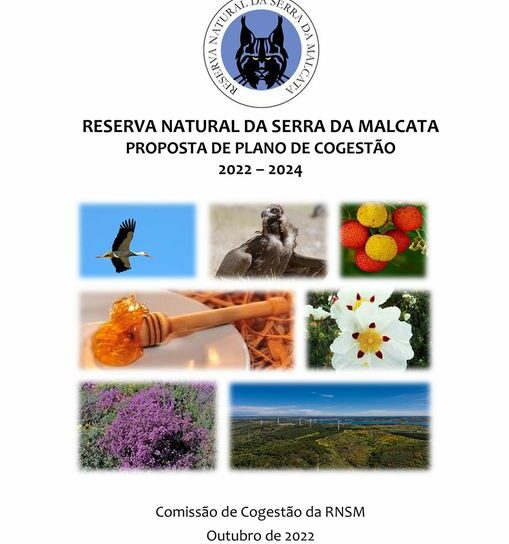 Penamacor