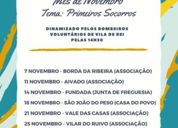 Vila de Rei