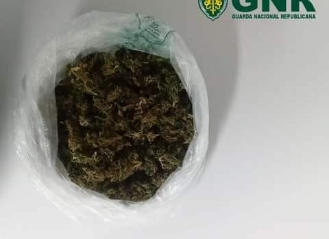 Covilhã – Detido com mais de 100 doses de estupefacientes