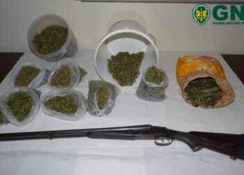 Detidos por tráfico de estupefacientes e posse ilegal de arma: