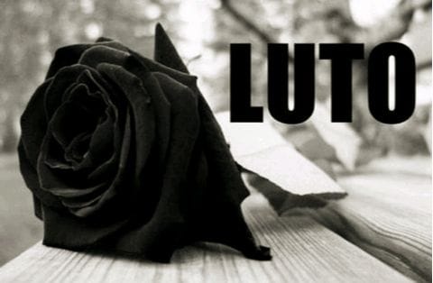 Dor e lágrimas: Ana Santos, a jovem de 23 anos que morreu na colisão na Guarda