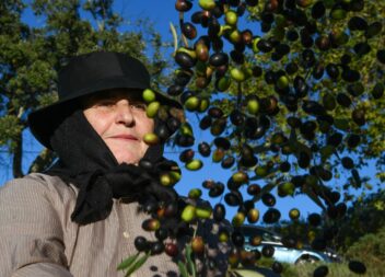 Feira do Azeite e da Azeitona em Malpica do Tejo