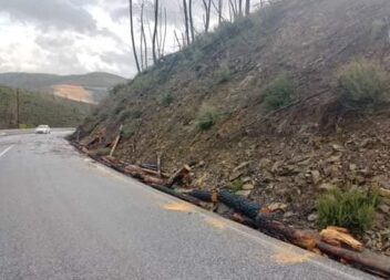 Mau tempo || Proteção Civil da Covilhã recebeu ontem 6 alertas de queda de árvor