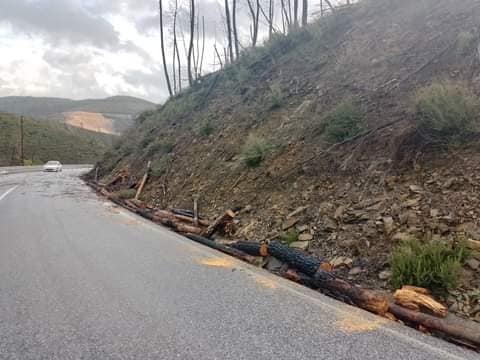 Mau tempo || Proteção Civil da Covilhã recebeu ontem 6 alertas de queda de árvor