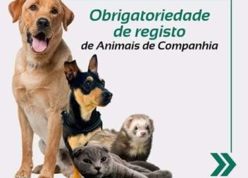 Obrigatoriedade de Registo de Animais de Companhia