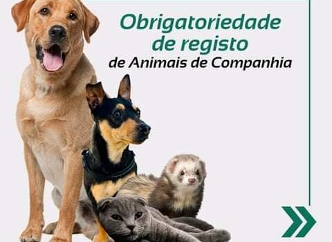Obrigatoriedade de Registo de Animais de Companhia