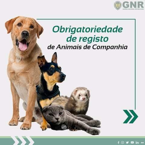 Obrigatoriedade de Registo de Animais de Companhia