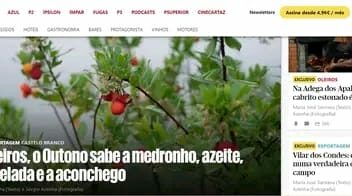 Oleiros em destaque na imprensa especializada