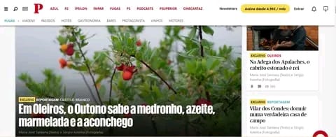 Oleiros em destaque na imprensa especializada