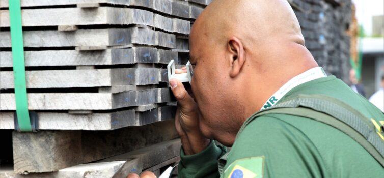 Operação "Madeira de Lei 2022"