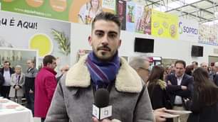 EM DIRETO: BEIRA BAIXA TV