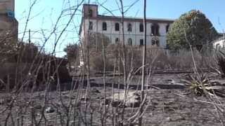 Explore More Videos on Watch