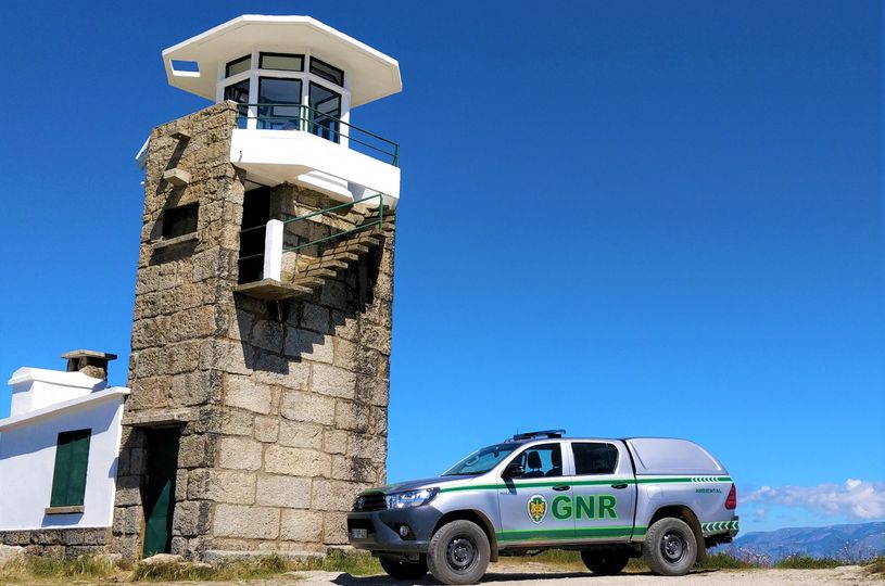 423 detidos em flagrante delito