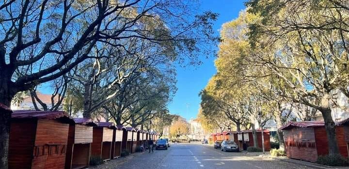 A uma semana da inauguração, às 18H00 de 7 de Dezembro, está quase tudo pronto n