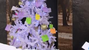 BeiraBaixa tv em direto