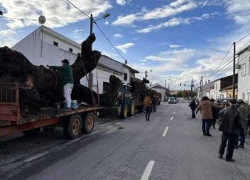 Madeiro da Zebreira 2022 - Álbum de fotos