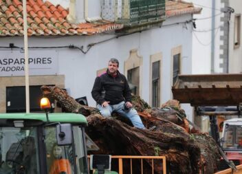 Madeiro de Penamacor já está no adro da Igreja: