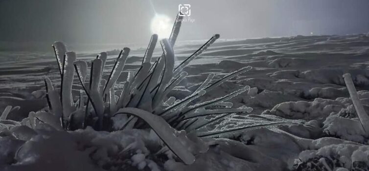 Um retrato fotográfico realizado na sexta-feira pelos olhos do Gonçalo Poço, que