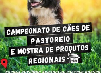 Castelo Branco