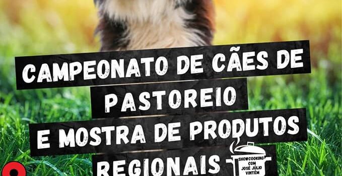Castelo Branco