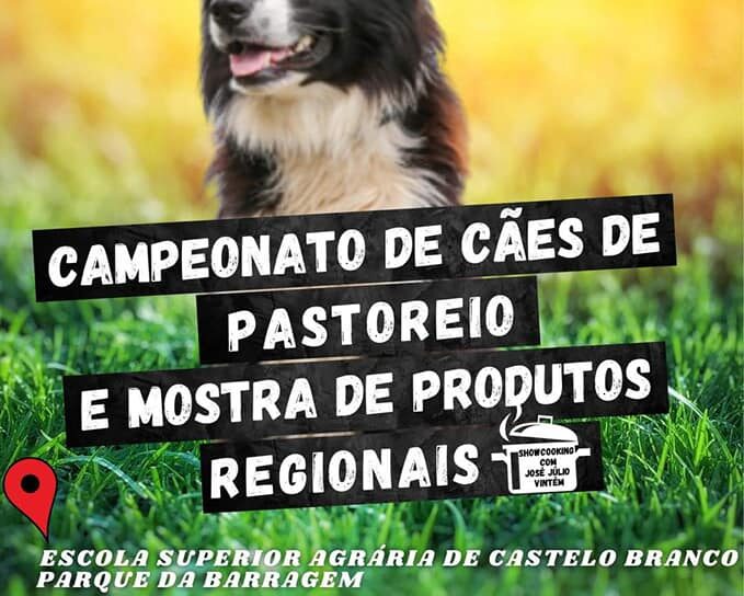 Castelo Branco