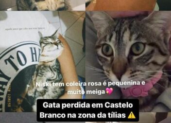 Castelo Branco