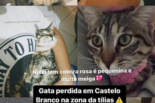 Castelo Branco
