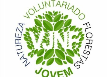Vila de Rei